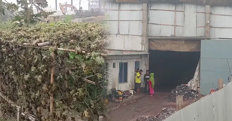 ক্ষতিগ্রস্ত ফসল, সিসা কারখানা